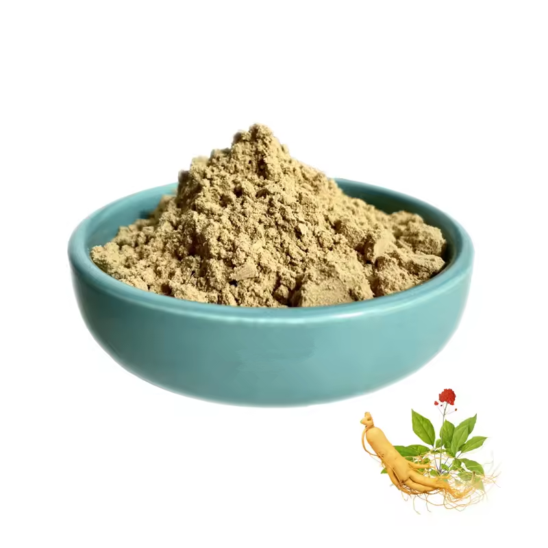 Panax Ginseng Extract Powder Ginsenosides