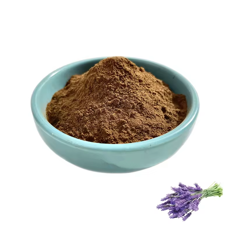 Lavandula Angustifolia Extract Powder