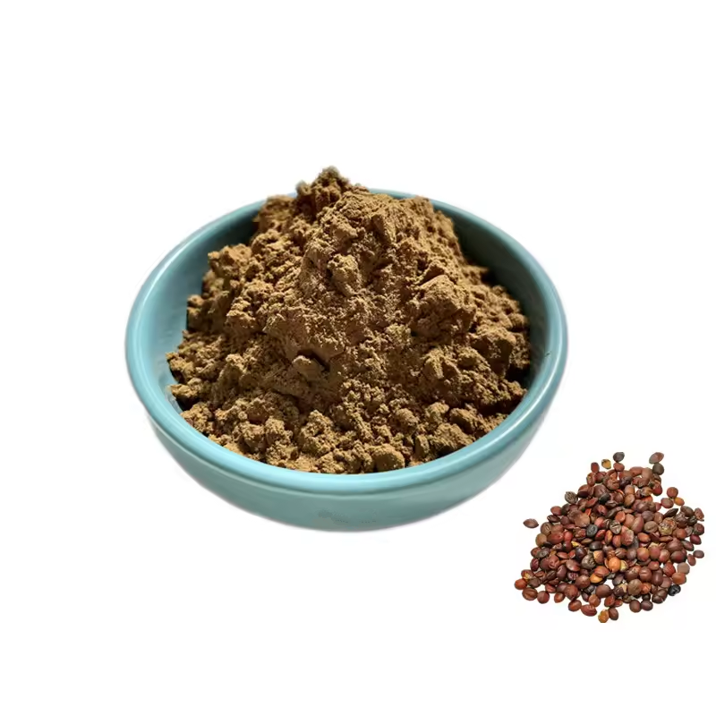 Wild Jujube Spina Date Seed Extract Powder