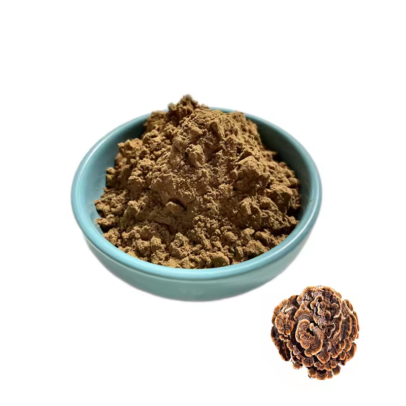 Turkey Tail Mushroom Extract Powder Coriolus Versicolor Extract