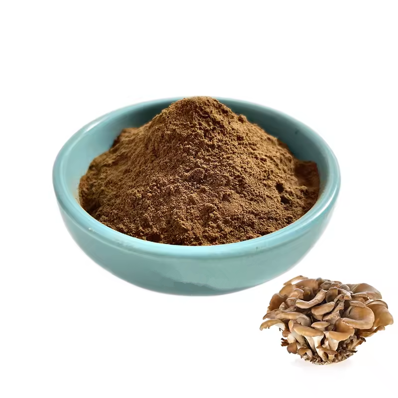 Maitake Mushroom Extract Grifola Frondosa Extract