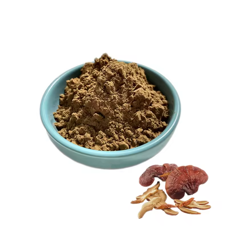 Reishi Mushroom Lingzhi Extract Ganoderma Lucidum Powder