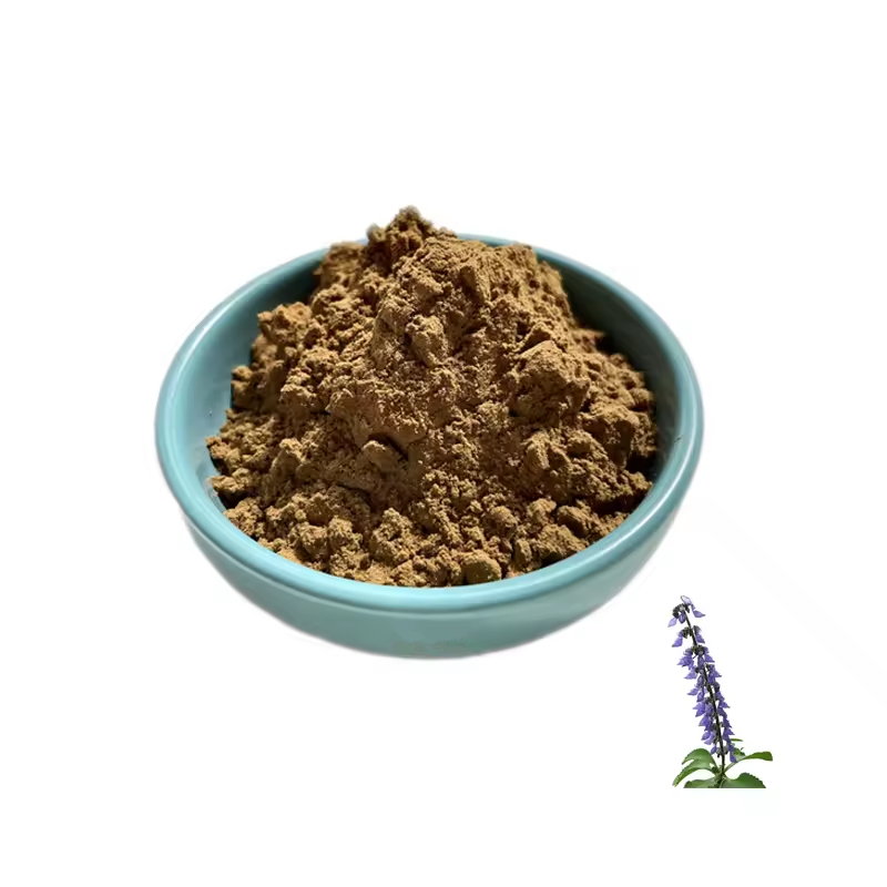 Coleus 10% Forskohlii Extract Forskolin Powder