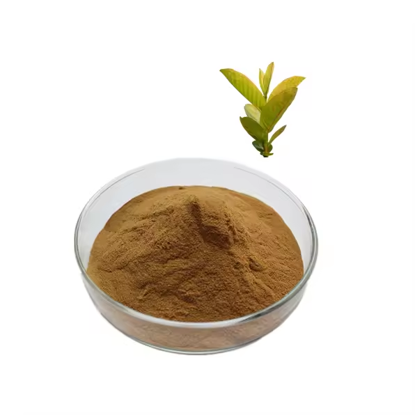 Tea Polyphenols 98% Green Tea Extract Powder CAS 84650-60-2